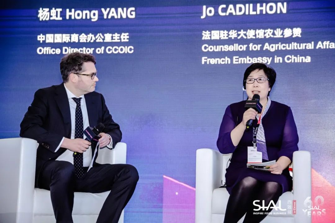 中國(guó)國(guó)際商會(huì)辦公室主任楊虹