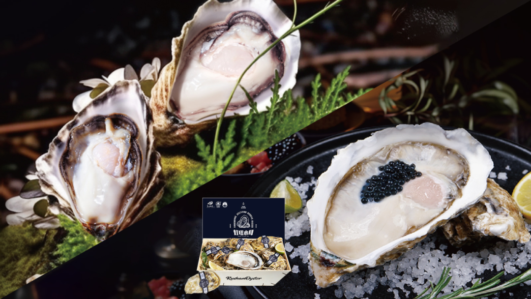 山東燈塔水母海洋科技有限公司